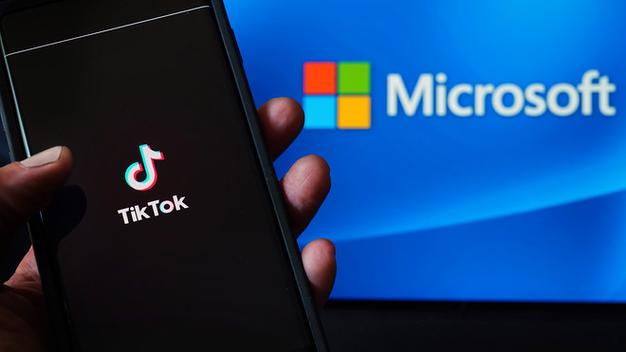 Tiktok Users Share Career Development Technology Path Research 