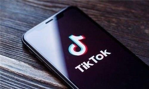 TikTok collaborates with stationery brands to share creative notebook ideas